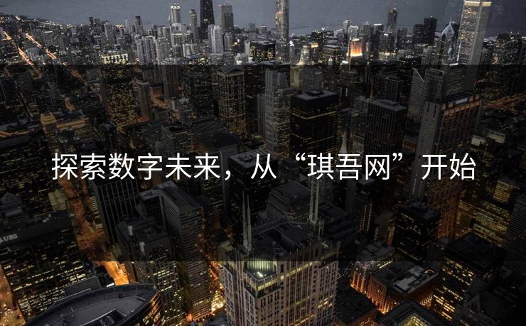 探索数字未来，从“琪吾网”开始