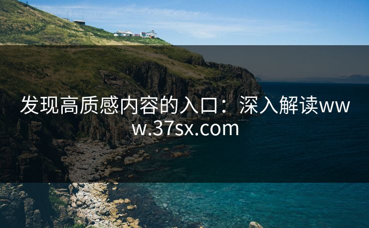 发现高质感内容的入口：深入解读www.37sx.com