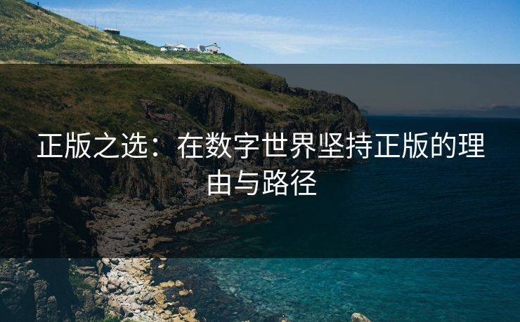正版之选：在数字世界坚持正版的理由与路径