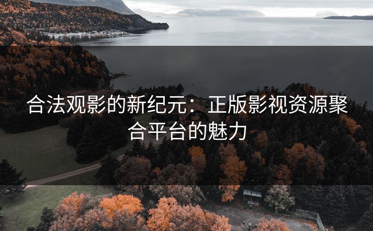 合法观影的新纪元：正版影视资源聚合平台的魅力