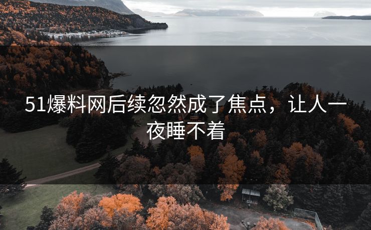 51爆料网后续忽然成了焦点，让人一夜睡不着